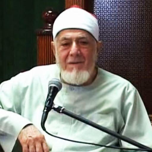 Ahmed Amer
